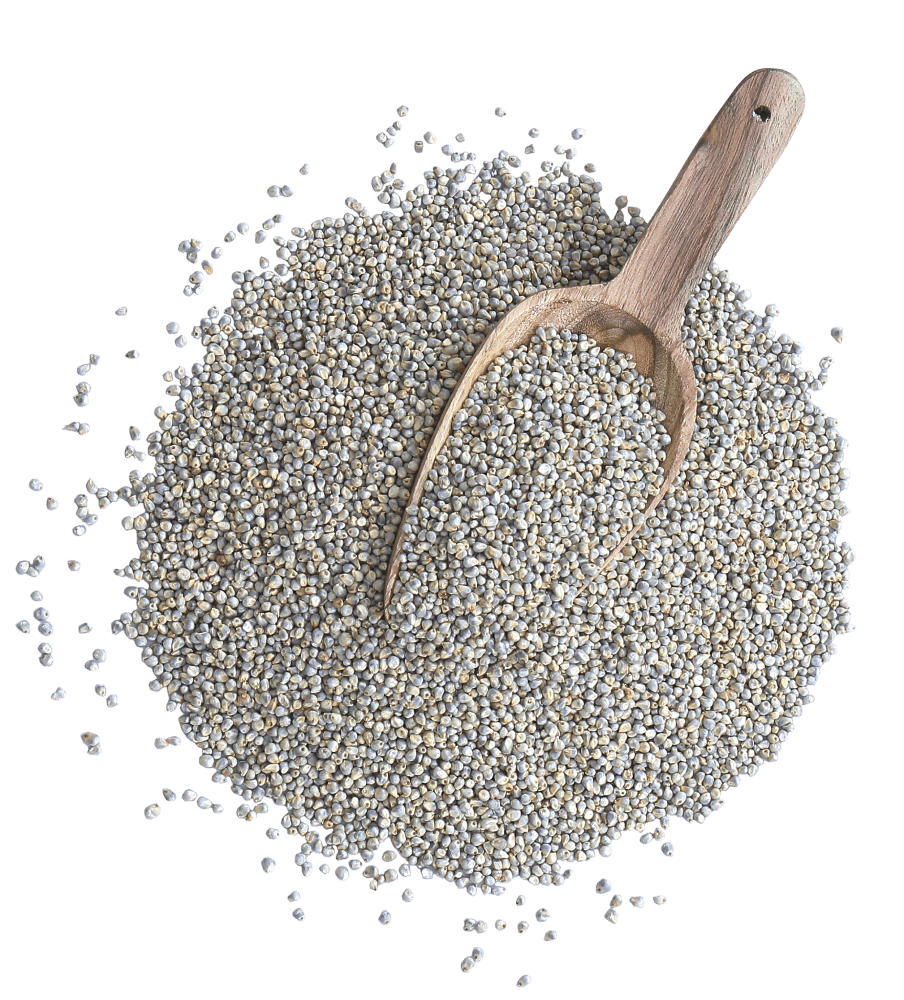 Green Millet